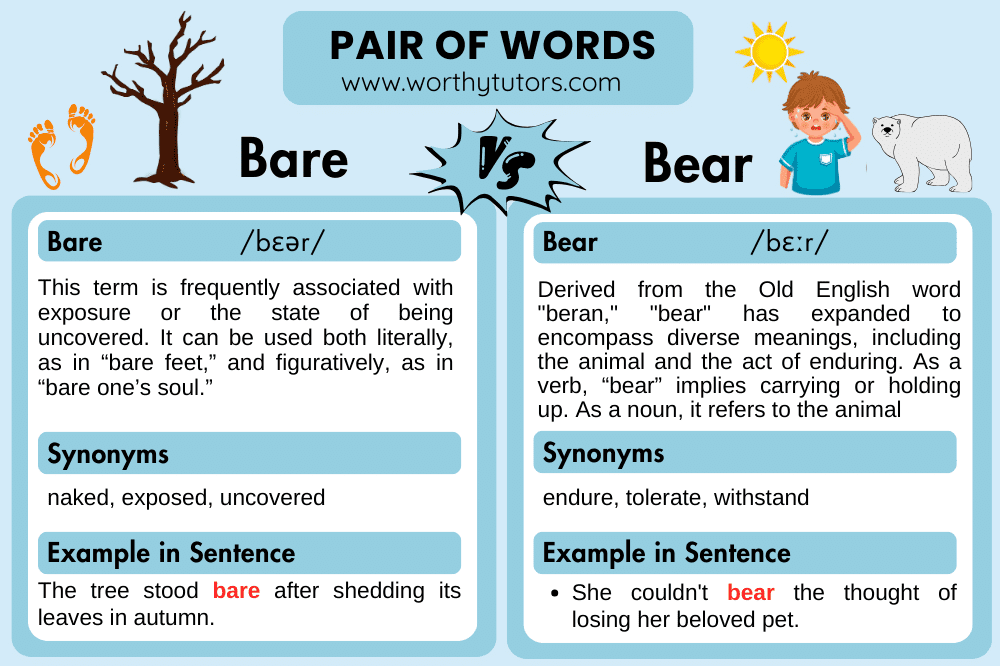 differences between bare and bear